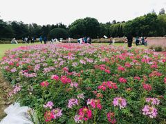 -上海滨江森林公园