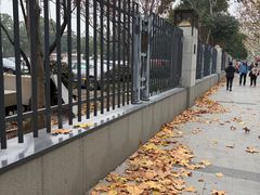 -龙华素斋(龙华路店)