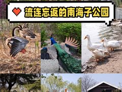 -南海子公园