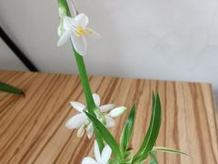 -吉祥回族饭店
