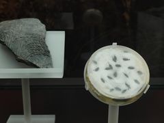 -河姆渡遗址博物馆