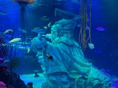 -沈阳海洋探索中心