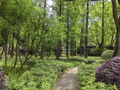 -徐家汇源景区-衡山公园