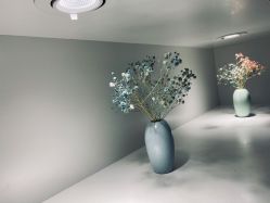 -烫·染专业店