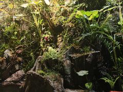 -漫·汤泉