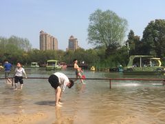 -青枫公园