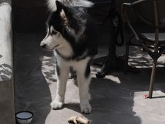 -T-COFFEE(长江花园店)