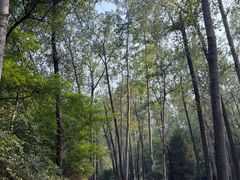 -秦皇岛野生动物园
