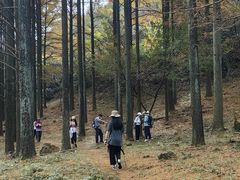 -四明山国家森林公园