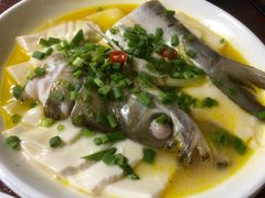 太湖白水鱼-元泰酒店