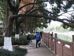 -成都市活水公园