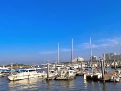 -巧克力渔家.小船海鲜胶东菜(万平口店)