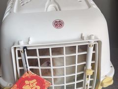 -瑞派宠物医院·犬猫全科·猫友好(宾水西道店)