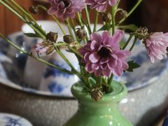 -八珍手工水饺·妈妈的爱(传芳巷店)