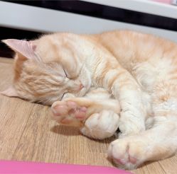 -齐伽生活馆·瑜伽·普拉提·阿育吠陀