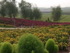 -北纬44度·金珠花海休闲农业旅游景区