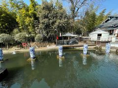-南京老山国家森林公园
