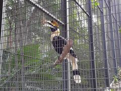 -新加坡飞禽公园
