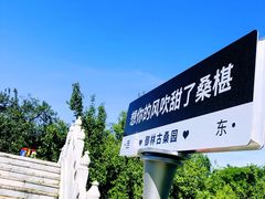 -御林古桑园