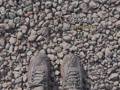 -贡湖湾湿地公园