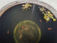 -前童古镇