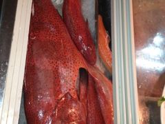 iphone_upload_pic-金砂阿洲鱼册店