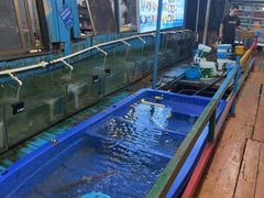-蓝湾碧波·老字号·疍家非遗海上餐厅