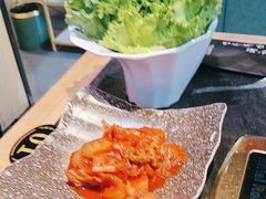 -杨记齐齐哈尔烤肉(五莲路店)