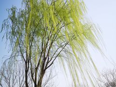 -三里河公园