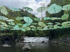 -石台牯牛降景区
