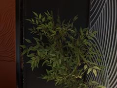 -华夏良子·足道SPA艾灸(金皇大厦店)