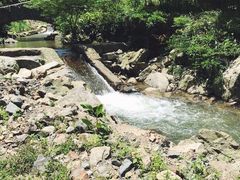 -将军关探险漂流