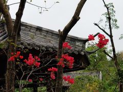 -凤翔首邑温泉度假村
