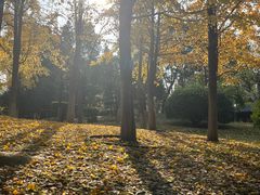-堤角公园