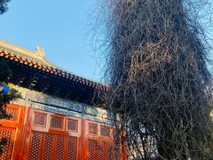 -北京艺术博物馆(万寿寺)