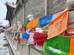 -大召无量寺