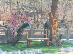 -丹东凤凰山景区