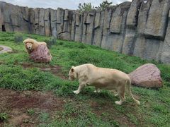 -齐齐哈尔龙沙动植物园