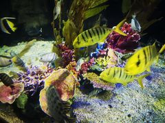 -太平洋海底世界