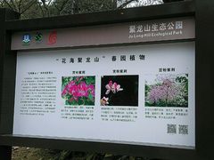 -聚龙山公园
