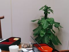 -鲁宴·鲁煨黄河生态大鲤鱼(月坛店)