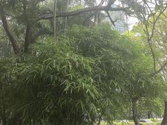 -车公庙(地铁站)