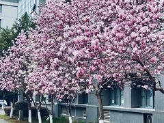 -东南大学(九龙湖校区)