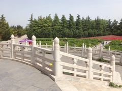 -神州牡丹园