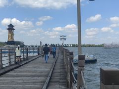 -溱湖国家湿地公园