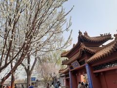 -桃花堤公园