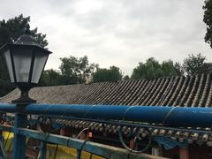 -Sirena海妖日咖夜酒