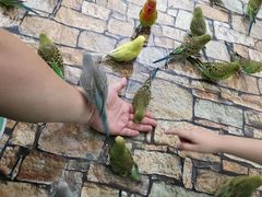 -上海大自然野生昆虫馆(东方明珠·爬宠昆虫探索中心)
