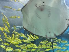 -福州罗源湾海洋世界旅游区