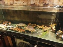 -哈尔滨索菲特大酒店-意日本料理铁板烧